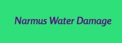 Narmus Water Damage